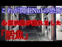 [心霊]霊感のある人を２人つれて行くとやばい。。女性の手、声、ラップ音、怪奇現象だらけのホテル活魚！