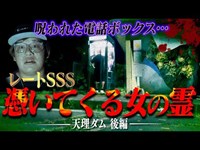 【心霊】次々に襲いかかる怪奇現象の嵐…呪われた電話ボックスで●●を発見してしまった。