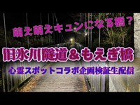 旧氷川隧道＆もえぎ橋（東京）【心霊スポット検証生配信コラボ企画編】