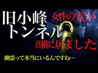 【心霊スポット】八王子最恐のスポット旧小峰トンネルで幽霊の存在を確信しました/『真夏のYouTuber祭2022』