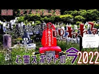 【心霊スポットの今】墓裏の漢文を読むと呪われるという赤墓【2022年6月】