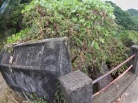 [大阪府阪南市] 林道 裏芝池