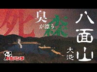 【心霊】◯吊り自◯の森で異様な臭いとカメラマンの急な体調不良で撮影断念！