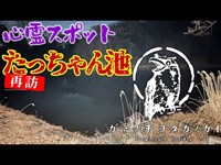 【東京都】たっちゃん池再訪_20220113