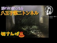 【心霊スポット】八王子第二トンネル_190715