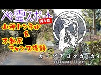 山神トンネル＆不動尻キャンプ場_20210116