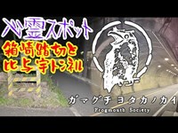 箱崎踏切跡と比与宇トンネル_20210606