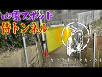 【埼玉県】侍トンネル_20220312