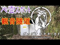 【心霊スポット】観音隧道_200301