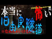 #心霊スポット #ジャンクヤード #廃墟【新作 和歌山県 旧由良トンネル ※なめちゃいけない！本当に怖いトンネル】京都清滝トンネルなんか比じゃない！！