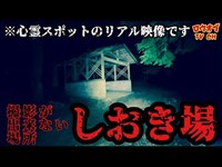 N.87【脚色無し】これがリアルな心霊スポット撮影だ。撮影が出来ない場所大阪有名スポット「しおき場」【心霊スポット】Japanese horror