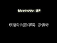 アナタの知らない世界　華蔵寺公園滑り台/群馬　心霊　女の霊写りこむ　#心霊　#ghost　#華蔵寺公園遊園地