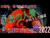 【心霊スポットの今】轢き逃げに遭った老婆の霊が出るという・水越トンネル【2022年7月】