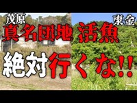 【注意喚起】東金の活魚と茂原の真名団地。絶対に探索してはいけない理由【ゆっくりナレーション】千葉　心霊スポット　肝試し