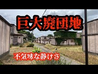 巨大過ぎる廃墟【真名団地】千葉県茂原市