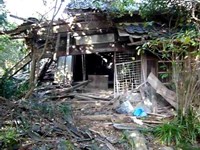 天津小湊の廃神社と狛犬