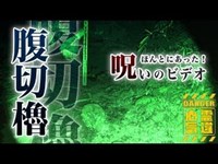 【腹切りやぐら】無数に飛び交う武士の霊魂！北条一族800人切腹の櫓《怪奇現象有》【場所や噂などの詳細は概要欄から】 HAUNTED PLACES IN JAPAN