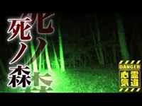 【上尾ふるさと緑の景観地】第二の樹海と呼ばれる死の森！相続争いで殺された呪いの土地！【場所や噂などの詳細は概要欄から】 HAUNTED PLACES IN JAPAN