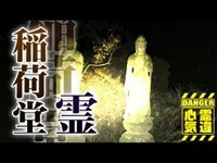 【等々力渓谷】橋から転落した男性の霊！渓谷で訴えかける男性の唸り声！【場所や噂などの詳細は概要欄から】 HAUNTED PLACES IN JAPAN