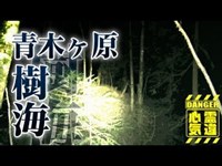 【青木ヶ原樹海】青木ヶ原樹海！樹海に漂う自殺者の怨念！あなたが目撃者に！【場所や噂などの詳細は概要欄から】 HAUNTED PLACES IN JAPAN