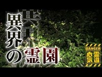 【青山霊園】車に乗せた女性が突然消える異界の霊園！タクシー運転手を震撼させて場所！【場所や噂などの詳細は概要欄から】 HAUNTED PLACES IN JAPAN