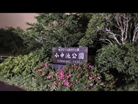 小中池公園(千葉)【心霊生配信】