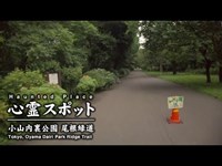 心霊スポット 004 東京都町田市 小山内裏公園 尾根緑道 Night Walk in Japan | HUNT |haunted |【心霊映像】