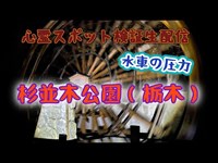 杉並木公園（栃木）【心霊スポット検証生配信】