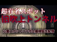 旧吹上トンネル（東京）【心霊スポット検証生配信コラボ企画編】