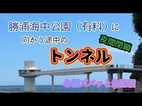 勝浦海中公園向かうトンネル（千葉）【有料心霊スポット生配信】