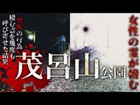 【心霊】棲む霊を幾度も呼び寄せた結果「茂呂山公園」詳細は概要欄から HAUNTED PLACES IN JAPAN