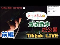 【 Tiktok LIVE 】 霊道と云われる公園で幽霊探し【前編】