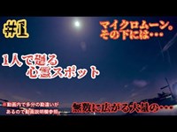 【1人で廻る心霊スポット】大量の墓石に囲まれながらブルームーン＋マイクロムーン＋ハロウィンムーンを見て来た【今津干潟】#1