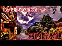 【河内貯水池】日本に1つしかない橋が心霊スポットだとか何とからしいので行ってみた【1人で廻る心霊スポット】