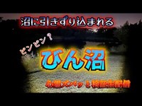 びん沼（埼玉）霊力もビンビンになる沼？【心霊スポット検証生配信】