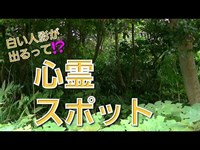 10000人規模の防空壕跡[飛鳥の小径]