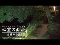 心霊スポット 017 東京都練馬区 石神井公園(三宝寺池) Night Walk in Japan | HUNT |haunted |【心霊映像】