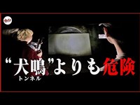 【心霊】今、日本で一番危険な心霊トンネル。この場所でボクたちは...