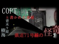 ＃樹海＃廃墟＃心霊捜査 「議論し合う霊」「樹海の県道71号線の怪異」(2本立て)