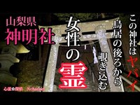 【神明社】恐怖！鳥居の隅からコチラを覗く女性の霊#心霊 #怖い話 #心霊スポット