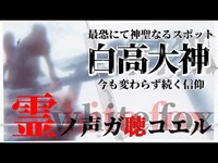 【心霊】神と人の狭間にいた巫女の修行場【白高大神】【奈良県】