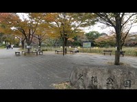 昼間心霊スポットに行ってみた(岸根公園)