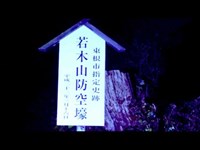 【心霊散歩】山形県東根市·若木山防空壕跡