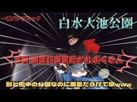 暗視監視カメラまで設置されてる、超綺麗な公園の展望台が悪霊だらけで草www