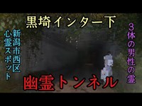 【昨日撮影】黒埼インター下にある幽霊トンネル ３体の男性の霊が現れると噂のトンネル (徒歩で検証)