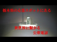 異世界に繋がる公衆電話（渡良瀬遊水地）