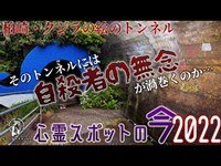 【心霊スポットの今】猫の絵の下には子供の霊が… 御野立トンネルの歩道トンネル【2022年9月】