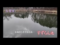 心霊マニア すずらん池（山梨県）