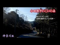 心霊マニア 小田原市いこいの森（神奈川県）