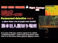 【 Paranormal detective 】科学アイテム総動員で幽霊を探してみる的な海外によくありそうなやつ【FILE.3 旗本百人腹切り場所 夜編】